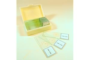 LABSTOCK Prepared Slide, Letter e, Classpack of 15 Sides