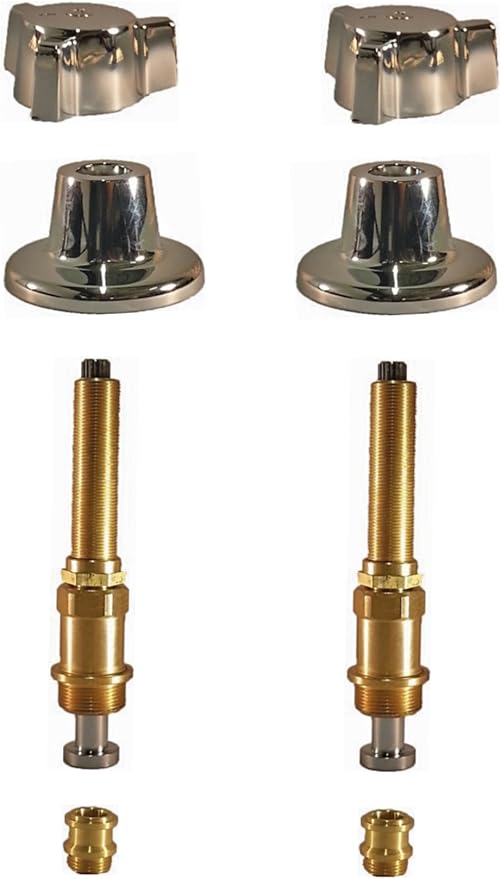 Briggs 2 Valve Rebuild Kit