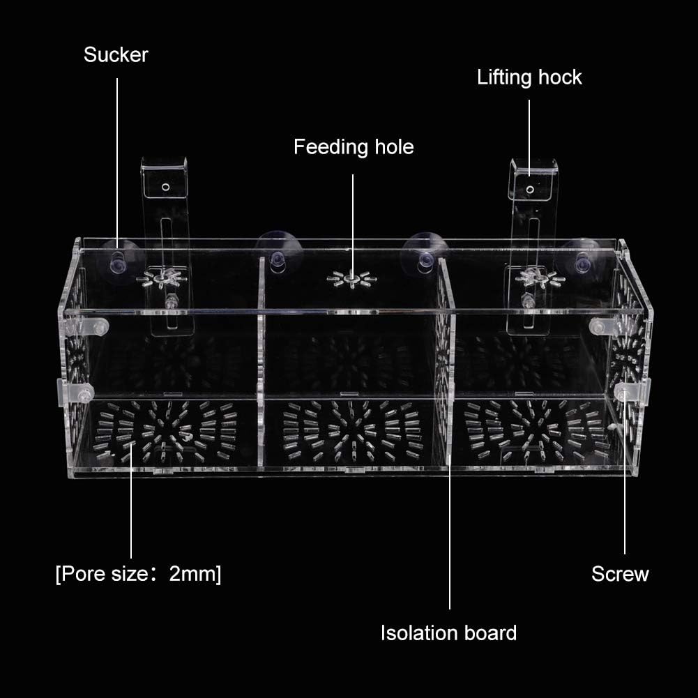 Pssopp Fish Tank Breeding Isolation Box Aquarium Acclimation Hatchery Incubator Acrylic Transparent Aquarium Hatchery Incubator Holder(30CM*10CM*10CM) - Image 5
