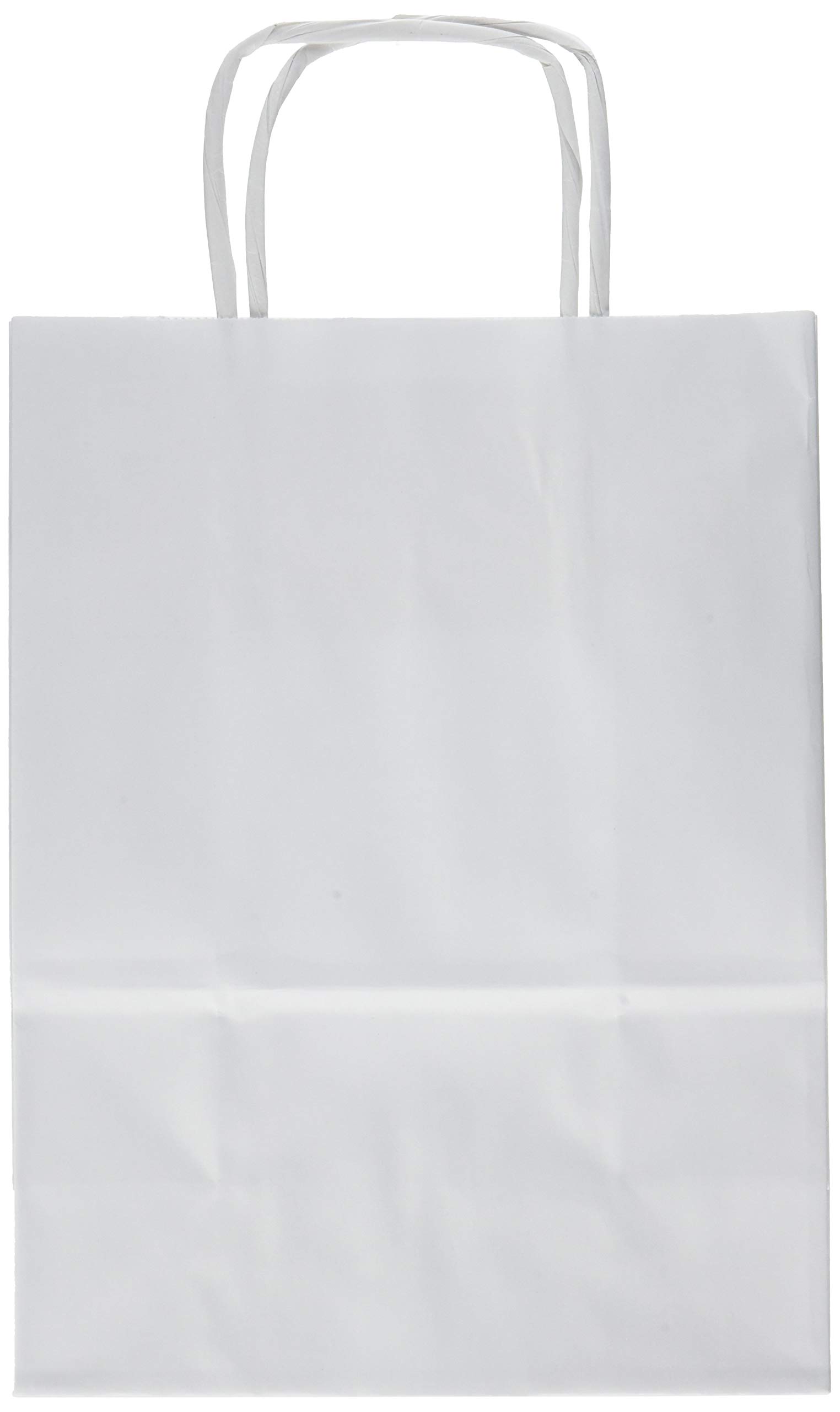 Rex Sadoch SDS16BIA Paper Bags with Twisted Handles, Pack of 25, White