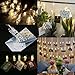 LEDMOMO 40 LED Photo Clip String Lights,USB Powered,String Lights for Home/Party/Christmas Decor