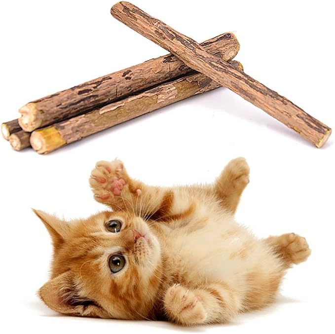 AOLVO 5 Katzensticks Matatabi Dental Chew Toy Catnip Chew Sticks Clean Teeth Healthy Care Wood