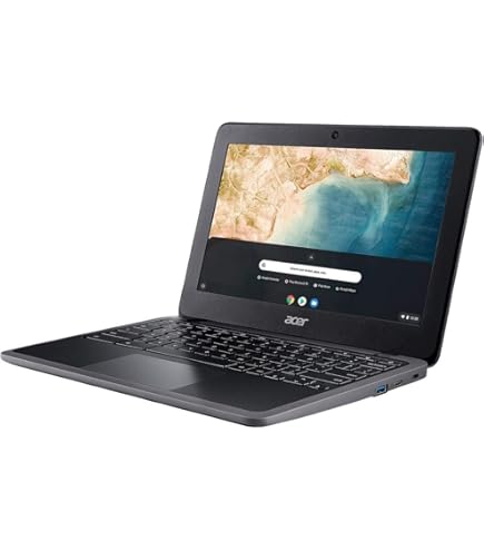 Amazon.com: Asus Chromebook C204 11.6
