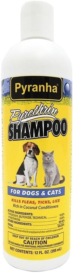 dog lice shampoo