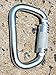 Hood RVR CE1282 Certified 45KN Auto Locking Steel Carabiner Clip for Gym, Camping, Hunting, Hammocks, Mountaineering, D Shaped, Large and Silver