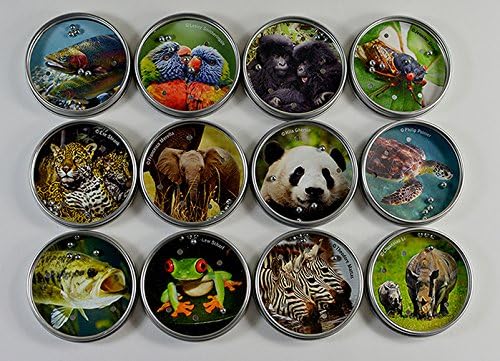 national wildlife federation bb puzzles group a