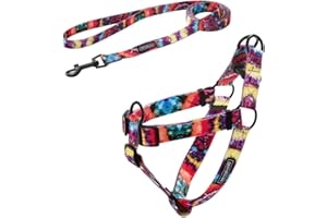 Welyeme Tie Dye No Pull Dog Harness and Leash Set for Small Medium Large Dogs, Rainbow Dog Harness (Large (20''-27''), Rainbow)
