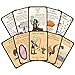 Steve Jackson Games Munchkin Pathfinder