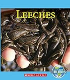 Cover for 9780531213940