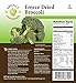Legacy Essentials Freeze Dried Broccoli Florets- 15 Year Shelf Life for Emergency Survival Food Storage Supply - Bulk Ingredients (Quantity 1)