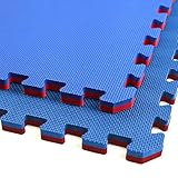 IncStores - Jumbo Soft Interlocking Foam Tiles (4 Tiles, Red/Blue) Perfect for Martial Arts, MMA, Lightweight Home Gyms, p90x, Gymnastics, Cardio, and Exercise