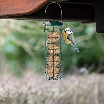 Amazon Com Snowshow Bird Feeder Food Dispenser Dumpling Grease