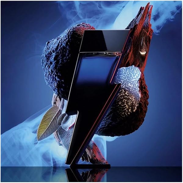 Amazon.com : Carolina Herrera Bad Boy Eau De Toilette Spray 3.4 Oz