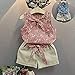 Baby Clothing Kids Summer Clothes Girls Flower Printing Vest + Pure Color Pants Children Clothing Set (A-Pink, 3-4T)