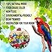 Coppthinktu Bird Toys for Parrots, Wooden Parrot Toys, African Grey Hanging Toy, Bird Chewing Toy, Bird Cage Bite Toys, Bird Block Knots Tearing Toy for Small Medium Large Parrots and Birdsthumb 3