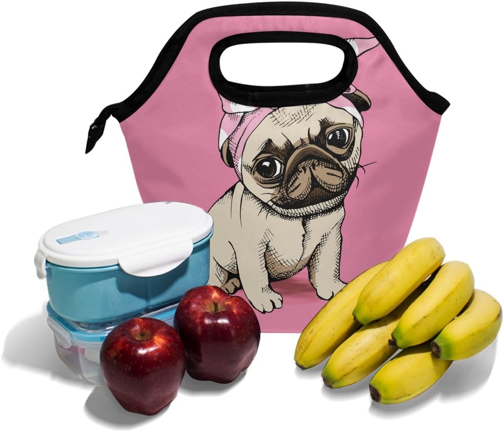 dog lunch bag