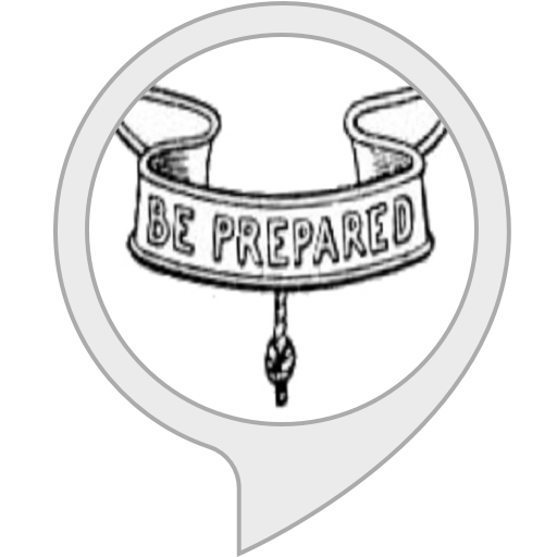 Amazon.in Boy Scouts Quiz Alexa Skills