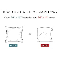 Oubonun 16 x 16 Pillow Inserts (Set of 2) - Throw