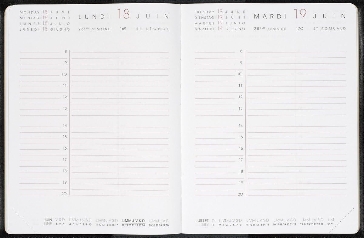 Modern Diary 1 Daily Diary Refill from January 2021 to Janv. 2022