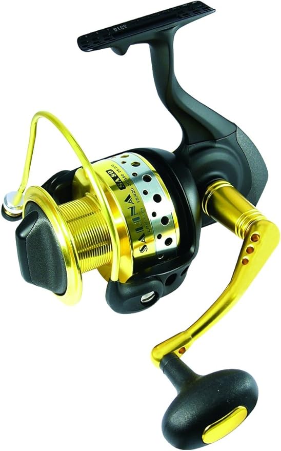 okuma salina reel
