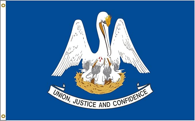 Amazon Com Flags Poles And More Louisiana 8ftx12ft Nylon State Flag 8x12 Made In Usa 8 X12 Garden Outdoor