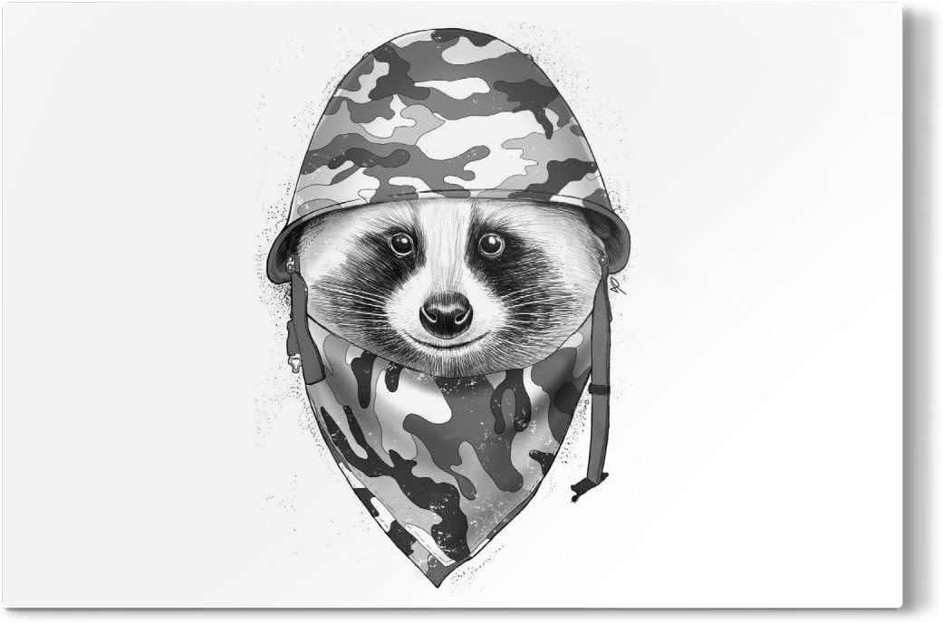 Huron craneo | Los mejores artículos para tu hurón.