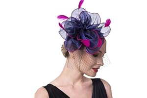 FEIMA Fascinators Hat for Women Girls Cocktail Tea Party Headband Flapper Headpiece Kentucky Derby Wedding Ha
