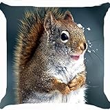 DECORLUTION Cushion cover throw pillow case 18 inch fluffy fur squirrel snow drop head face cute animal funny One side image zipper