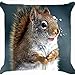 DECORLUTION Cushion cover throw pillow case 18 inch fluffy fur squirrel snow drop head face cute animal funny One side image zipper