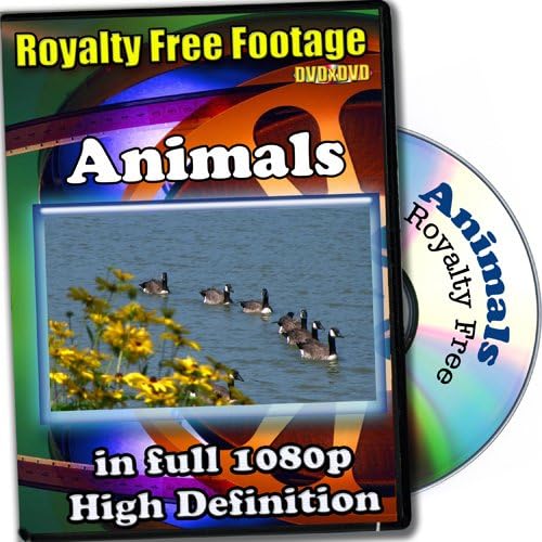 Animals - Royalty Free Video Footage High Definition Collection, Commercial License