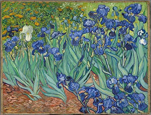 Irises by Vincent van Gogh Jigsaw Puzzle - 1000 Pieces