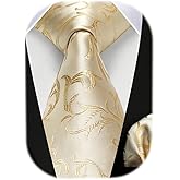 HISDERN Ties for Men Paisley Floral Tie Handkerchief Classic Woven Business Formal Necktie and Pocket Square Set Wedding