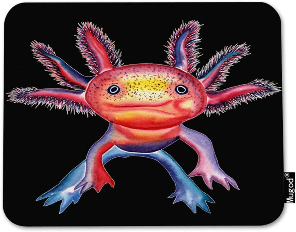 axolotl freshwater aquarium