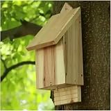 Wildlife World Chavenage Bat Box - Natural Timber Single Chamber Bat House view 4