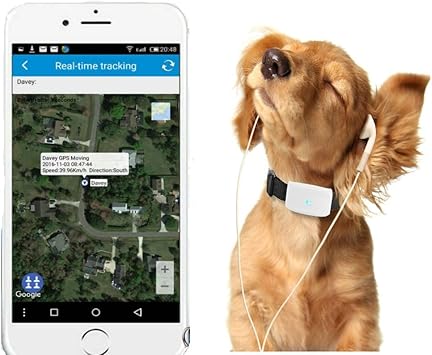 Mini Gps Tkstar Tracker Impermeable Gps Para Mascotas En Tiempo Real Seguimiento Y Monitorizacion Con App Online Para Android Y Ios Tk911 Color Tk911 Amazon Es Electronica