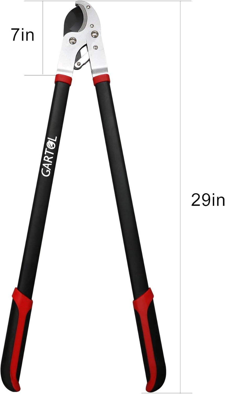 GARTOL Anvil Lopper with Compound Action 29 Inch Heavy Duty Tree Branch Cutter, 2 inch Cutting Capacity Tree Trimmer, with Ergonomically Designed Non-Slip Handles: Home Improvement