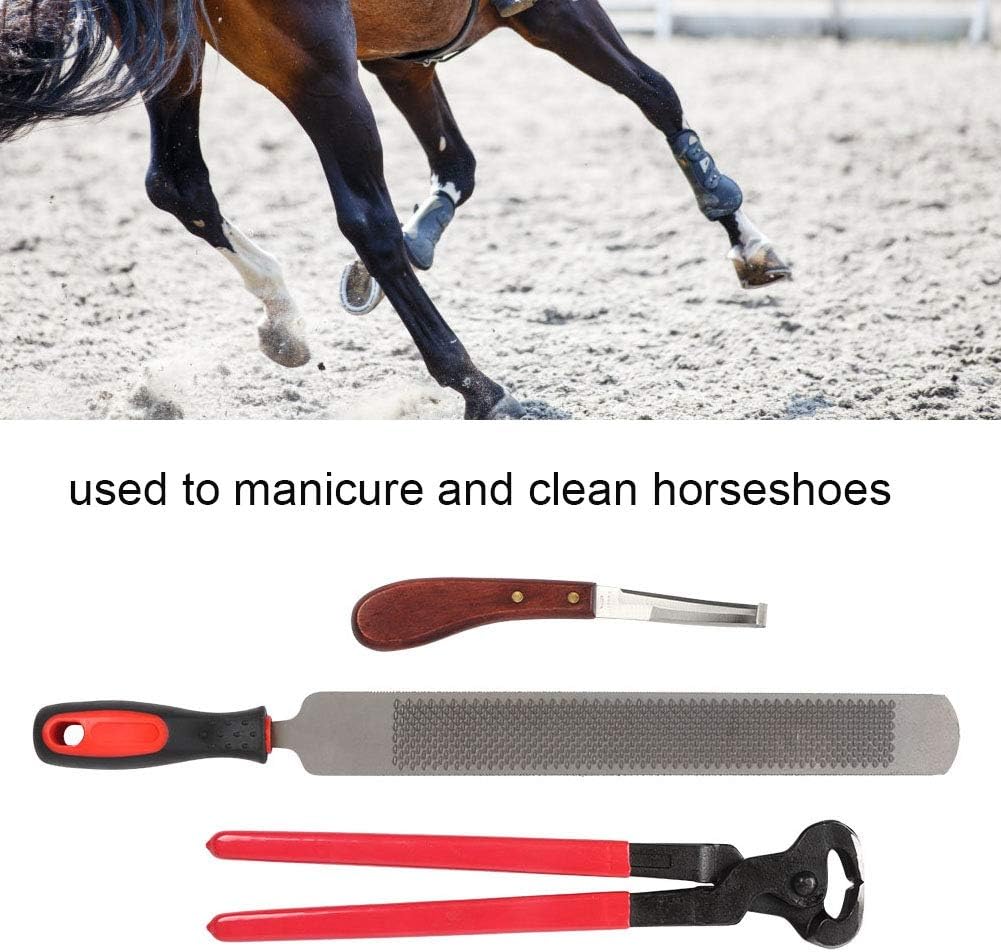 Horse Farrier Hoof Trim Tool Kit, Horse Equine Metal Shears Farriers