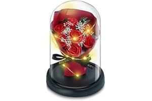 DHOEM Preserved Flowers Rose Gifts for Her,Forever Red Rose Flowers in Glass Dome Gifts for Women,Eternal Rose Bouquet Anniversary Birthday Valentines Day Gifts for Wife(Red Rose)