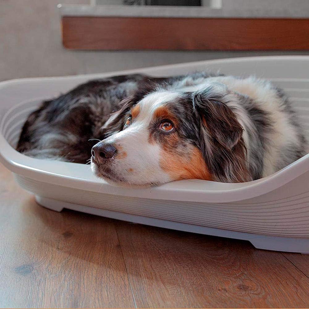 Ferplast Cat Bed, Plastic Dog Bed Large, Ventilation Holes and Non-Slip Rubber Feet for Added Stability 93,5 x 68 x h. 28,5 cm. Pink - Image 5