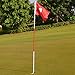 Practice Golf Putting Green Flags with Cup Backyard Golf Flagstick(Set of 1)