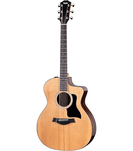 Taylor 214CE エレアコ （管理ワナ） Taylor 214CE エレアコ （管理ワナ）