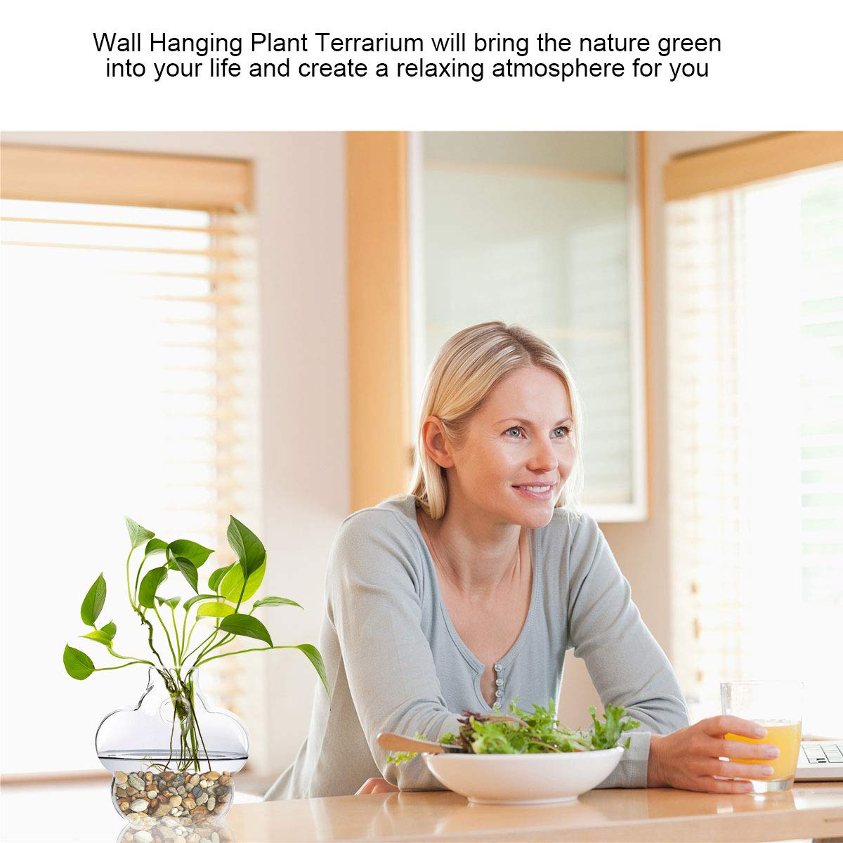 jiabang 4 Pack Wall Mounted Hanging Plant Terrarium Glass Planter Vase Flower Container for Home Decor,Air Plants,Hydroponics Plants