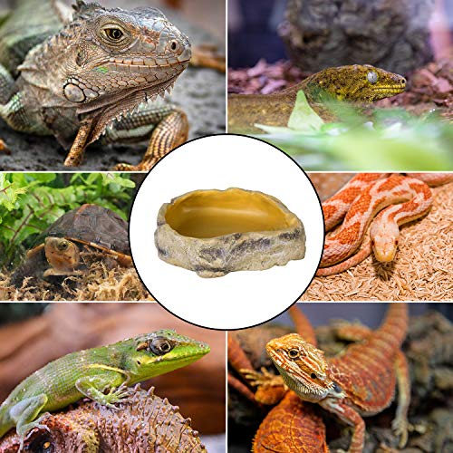 REPTIZOO Reptile Water Bowl Terrarium Water Dish Food Feeding Bowl for