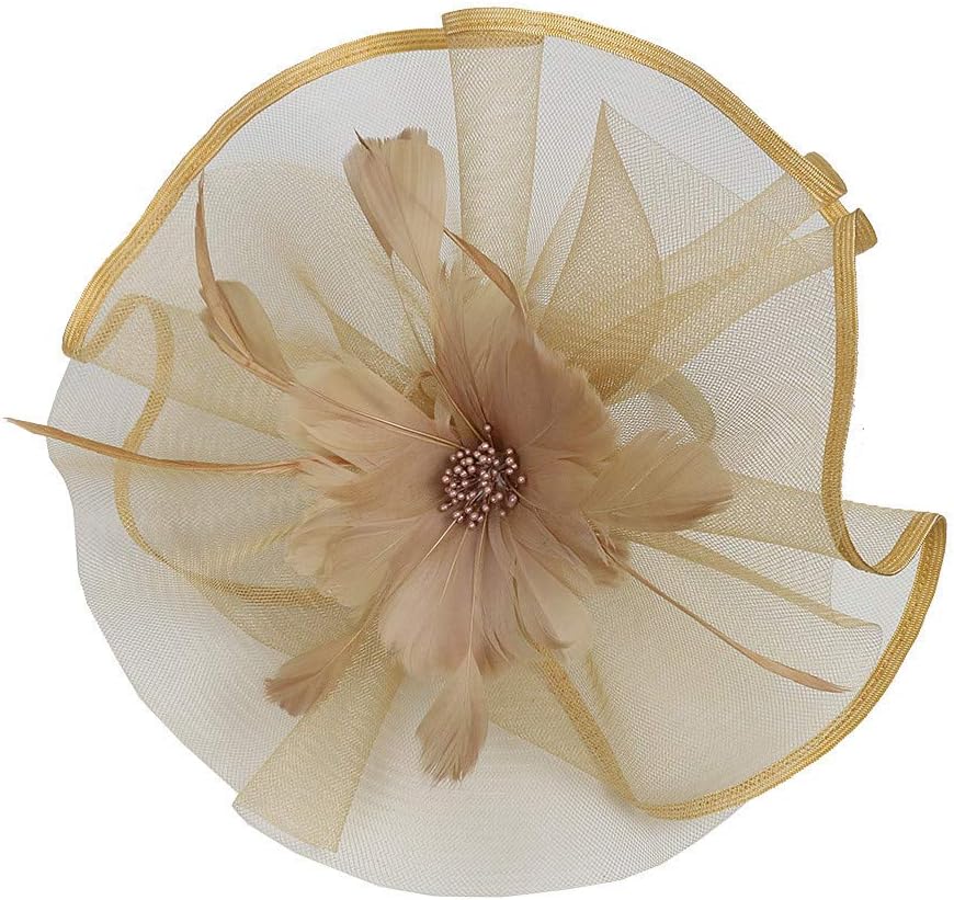 iLUGU Womens Fascinator Hat Hairpin Wedding Tea Party Summer Church Kentucky Derby Headwear Organza Cute Elegant…