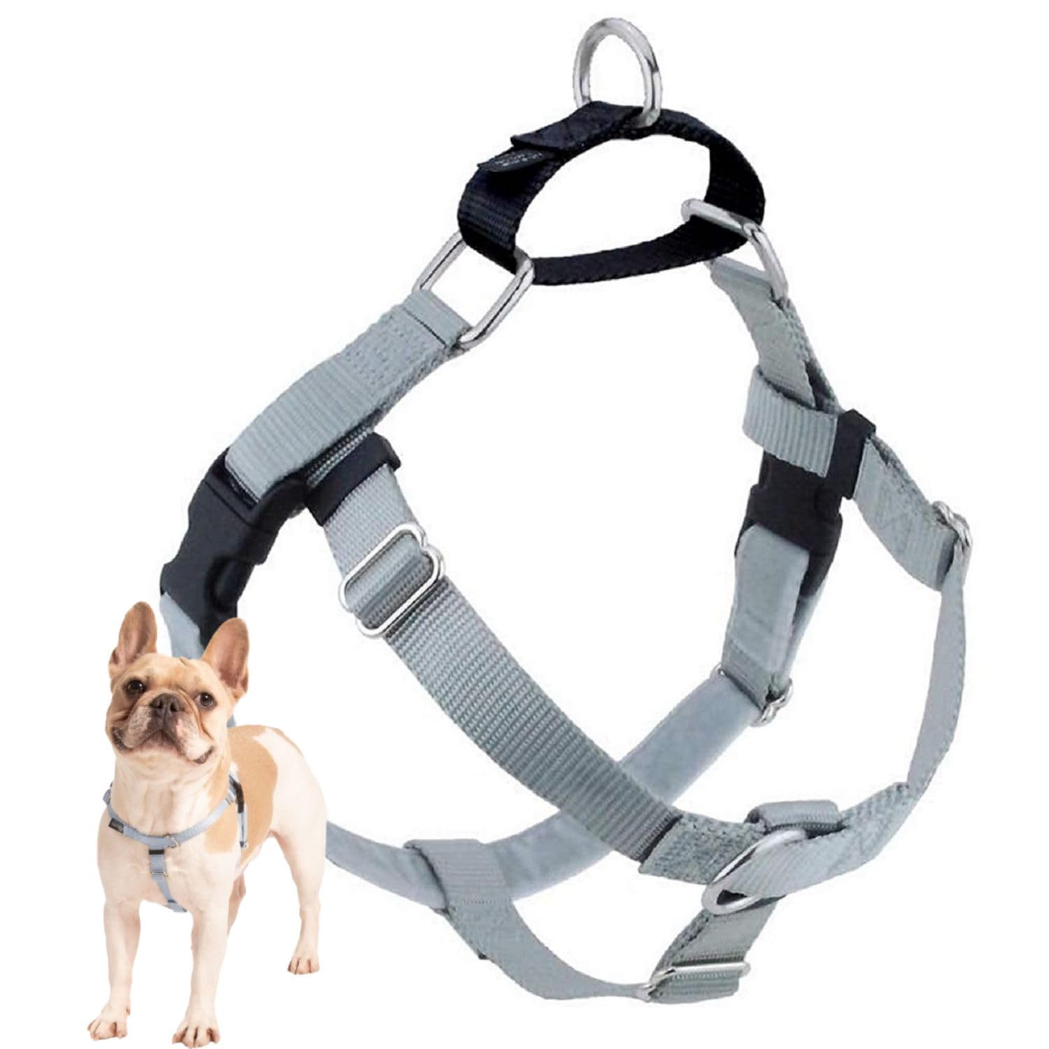 Photo 1 of 2 Hounds Design Freedom No Pull Dog Harness, Adjustable Harness, Easy Walking & Comfortable Control, Fits Small, Medium & Large Dogs, Solid Colors, Made in USA, 5/8" XS, Silver