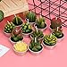 DaveandAthena 12 Pieces Cactus Tealight Candles Handmade Delicate Succulent Cactus Candles for Birthday Party, Wedding, Spa, Home Decoration (Style 1)
