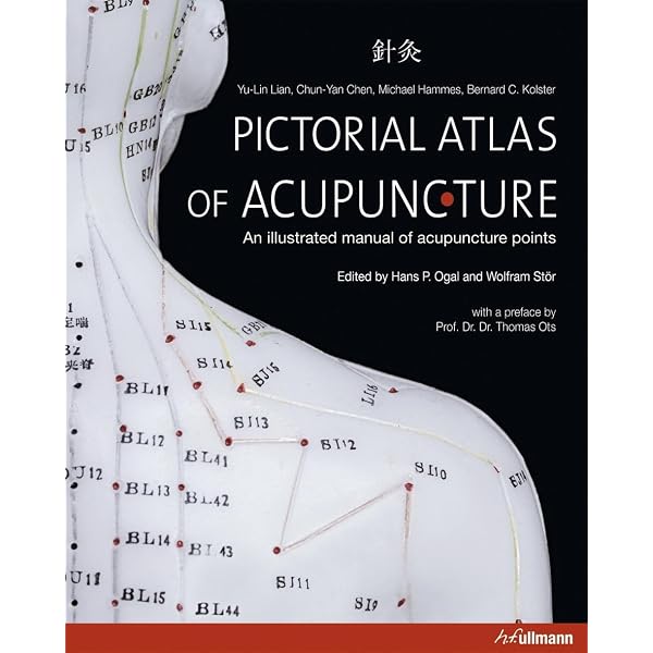 Acupuncture Energetics: A Clinical Approach for Physicians