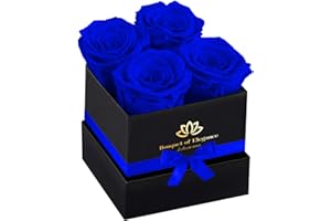 LEEBEAN Blue Forever Flowers Roses in A Box,Real Preserved Flowers,Preserved Roses,Forever Flower Gifts for Women/Men/Mom,Flowers for Valentine's Mothers Day
