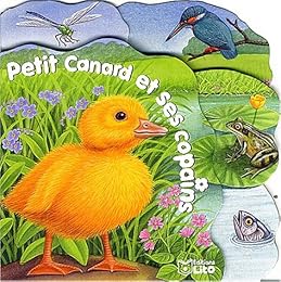 Petit canard et ses copains