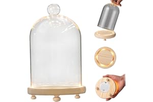 Battery Powered Glass Dome with Illuminated Base, Display Cloche for Flowers & Collectible Figurines